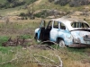 Put Out to Pasture