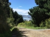 Porirua Harbour