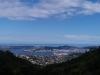 Wellington Harbour