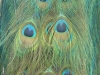 I am watching you