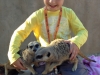 Meercat encounter