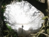 Thistledown Prince