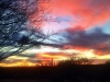 I_come_from_Arizona