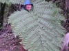 Friend in a Fern Frond