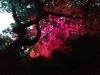Garden-Light-Magic