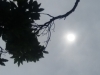 Light trying to break through