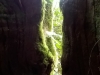 Trunk Light