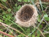 Nature Recycled