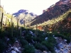 Arizona_Rock