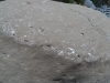 Set_in_stone
