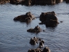 The_tide_comes_in_but_the_rocks_remain