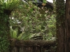 God's_Window