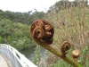 Zealandia_unfolding