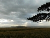 Storm's Coming